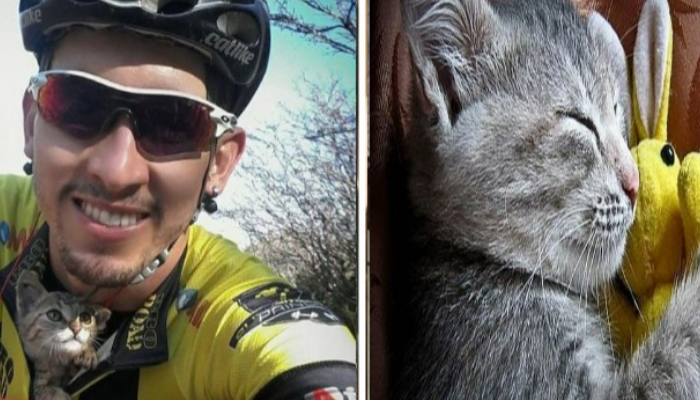 Un cycliste a sauvé le petit chat lors d’un concours