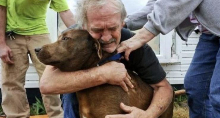 Cet homme a sauvé un chien d’une maladie grave et a utilisé ses économies pour le reste de sa vie