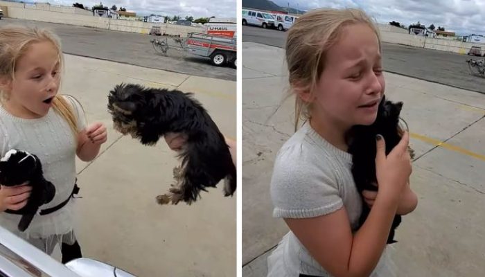 Lorsque ses parents la surprennent avec un chien, la jeune fille fond en larmes