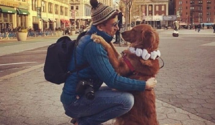 Golden Retriver aime beaucoup embrasser à tout le monde lors de sa promenade quotidienne