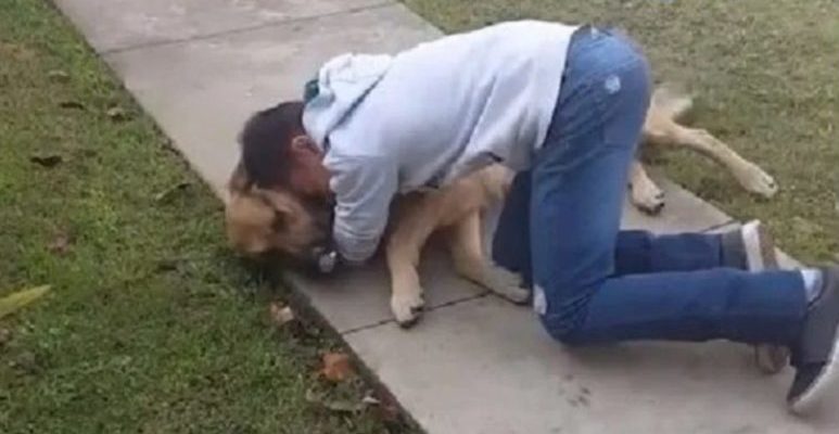 Les retrouvailles touchantes du petit maître et son chien qu’il recherchait depuis 8 mois