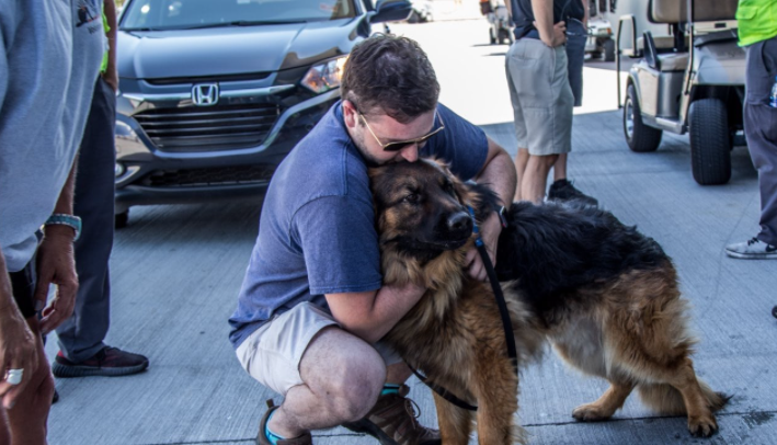 Un pilote bénévole sauvant les animaux transporte des chiens en refuge chaque week-end