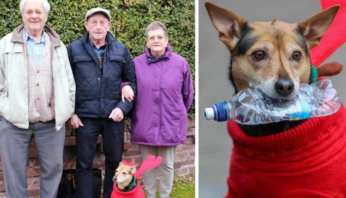 Pour la première fois depuis plus de deux décennies, un homme âgé retrouve ses proches grâce aux efforts du chien de la famille