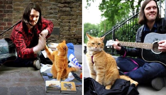 La vie d’un musicien sans abri a été sauvée par un gentil chat