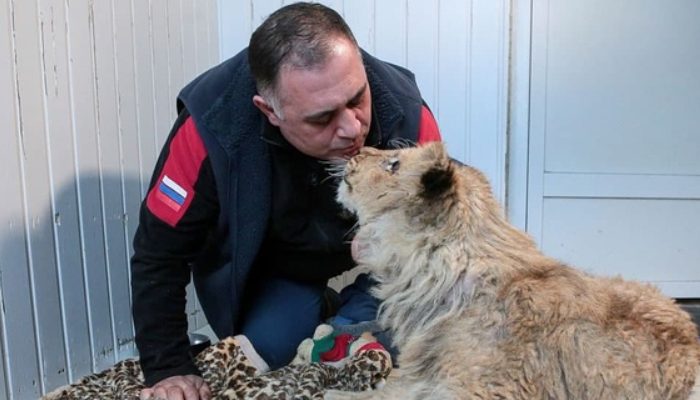 Les animaux sauvés des zoos et des cirques étaient le concept du médecin pour un sanctuaire