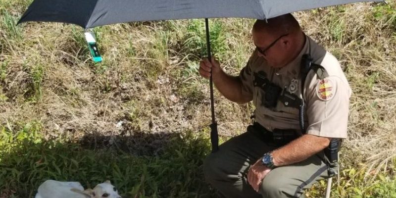 Le policier a sauvé le chien laissé au soleil dans la rue