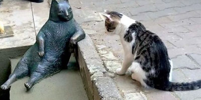 Une statue du chat mort a été érigée dans son lieu préféré