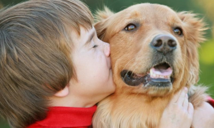 Un enfant «difficile» de cinq ans apprend à parler et à exprimer ses sentiments à l’aide d’un chien.