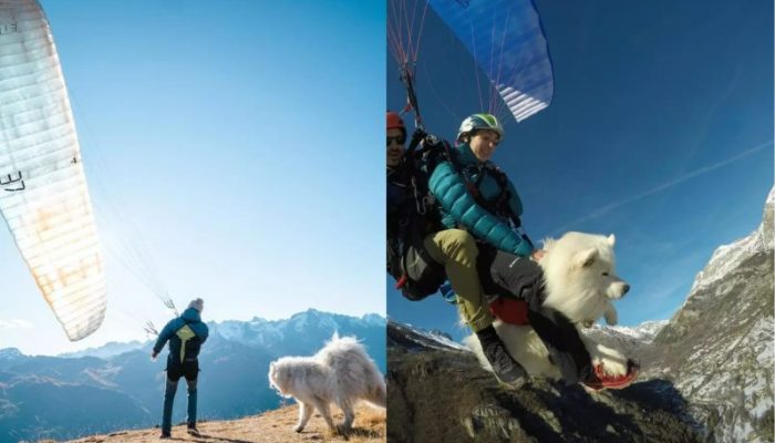 Rencontrez Ovka, un parapente canin qui adore prendre son envol avec son maître