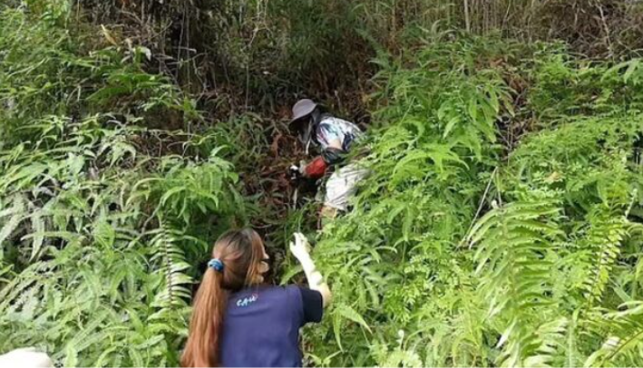 Un chiot sauvé après l’enlèvement d’un singe pendant trois jours