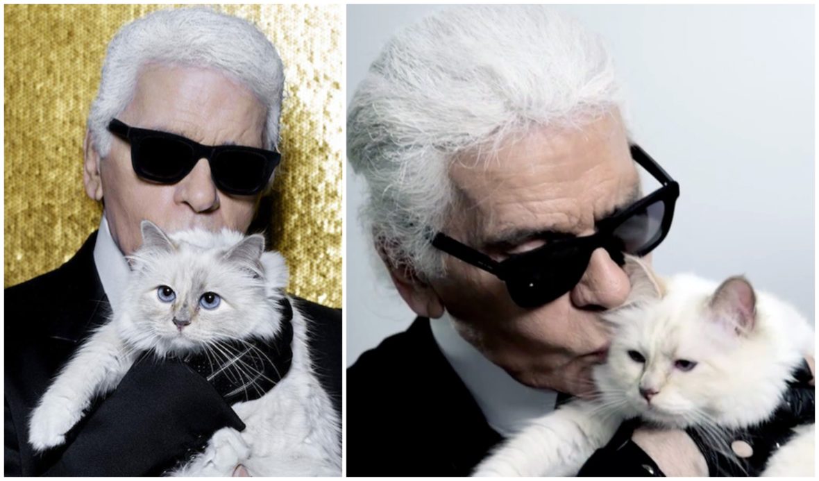 Comment vit le chat de Karl Lagerfeld, à qui il a légué 200 millions de dollars