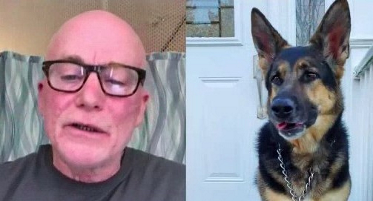 L’homme a pris le chien du refuge et il a répondu par un acte non moins respectable