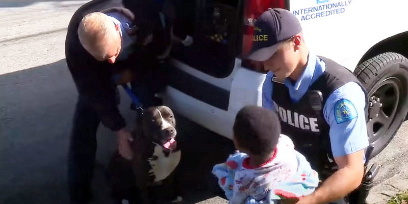 Le chien a retrouvé l’enfant disparu et ne l’a pas laissé seul une seconde