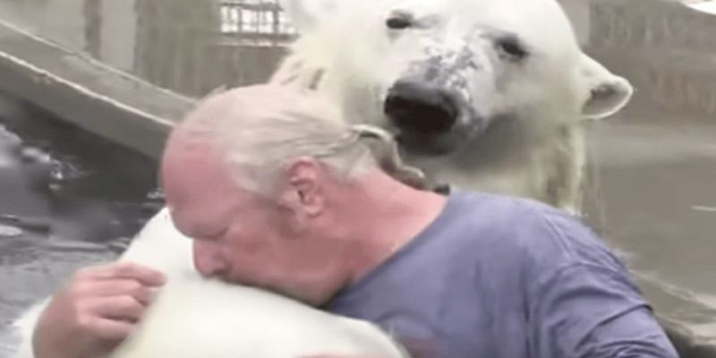 Cet homme nageait avec un ours polaire dont il s’occupe depuis longtemps