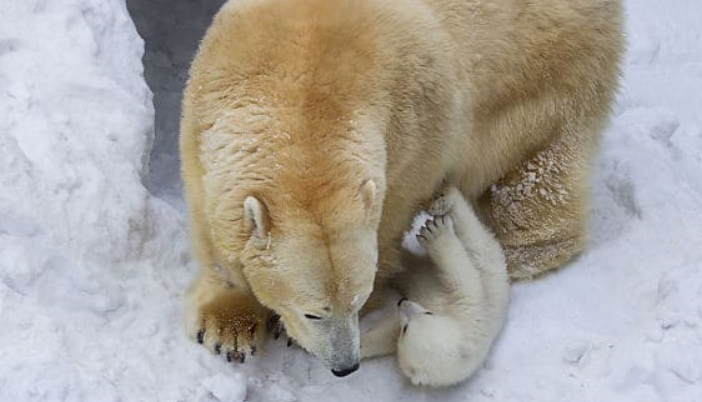 Son enfance est faite de l’amour et du réconfort de sa maman