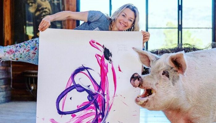 Après avoir été sauvé et adopté, ce cochon appelé Piggy est devenu un artiste accompli