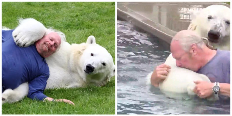 Un homme est ami avec un ours polaire depuis plus de 20 ans et nage même avec lui dans la piscine