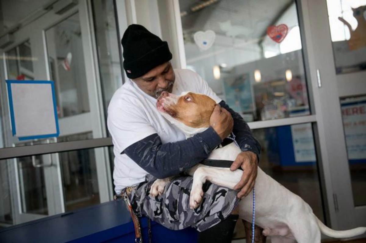 L’homme a été contraint de laisser son pitbull bien-aimé au refuge, mais après 4 mois, il a tenu sa promesse