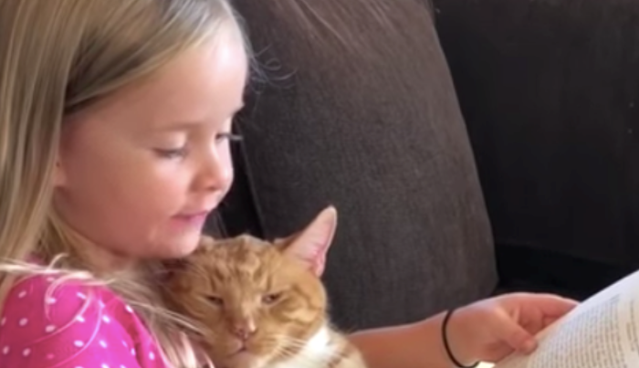 Une fille chante pour la dernière fois à son chaton bien-aimé quelques minutes avant de traverser l’arc-en-ciel