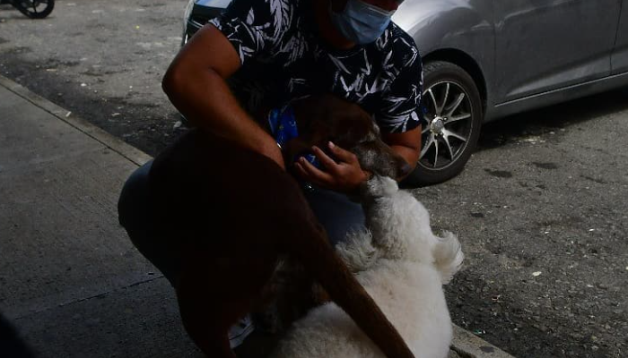 Les gens sont furieux parce que le chien