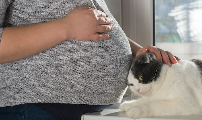 Comment présenter votre chat à votre bébé