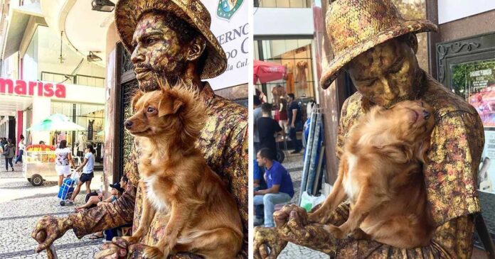 Un petit chien aide son père humain, un artiste de rue, dans sa routine de statue humaine