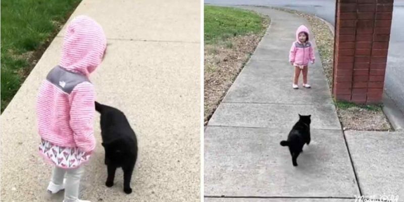 C’est touchant de voir l’amitié entre ce chat et la fille