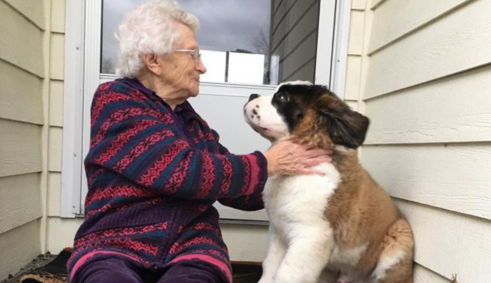 Une forte amitié entre une femme de 93 ans et son voisin géant et moelleux. Tellement incroyable!