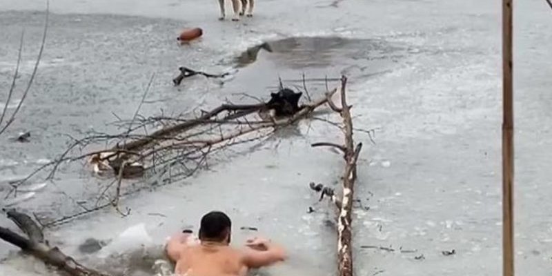 Un homme s’est jeté dans l’eau glacée pour secourir ce chien