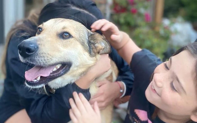 Les filles pleurent d’excitation quand elles voient que leur chien disparu est enfin à la maison