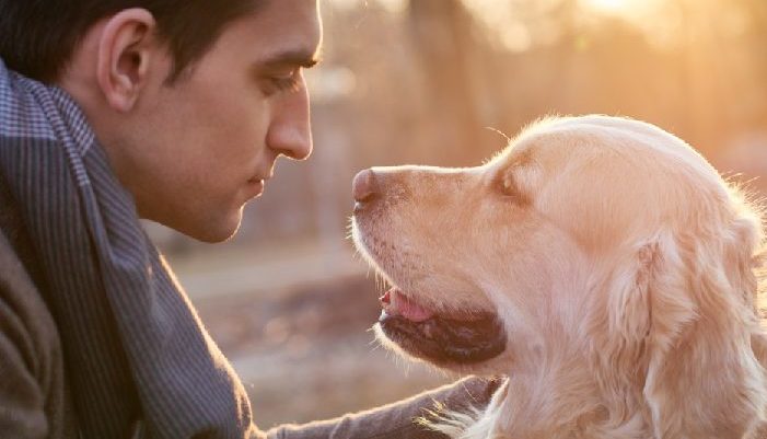 Un homme âgé essaie de transférer un chien dans un landau