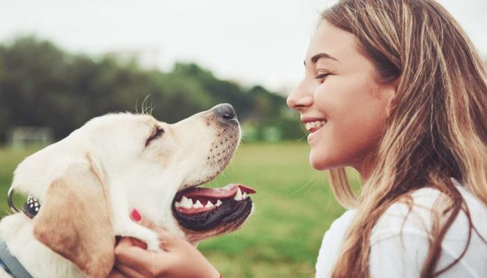 Le voyage du couple s’est transformé a l’adoption de chiens malades