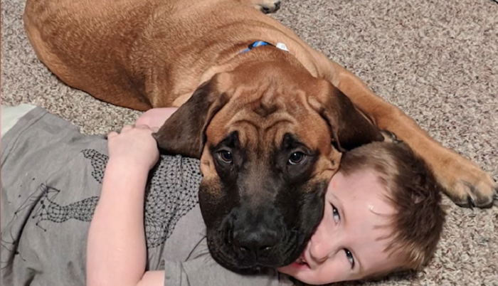 Moments adorables, le chien accompagne petit garçon pendant sa punition