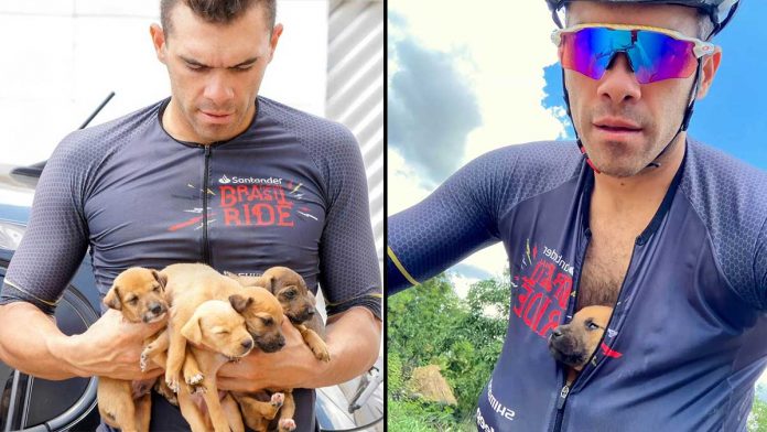 Un cycliste trouve des chiots abandonnés et les emmène en sécurité dans son maillot