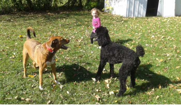 La garde de chien m’a aidé à faire face lorsque le cancer a frappé ma famille à deux reprises