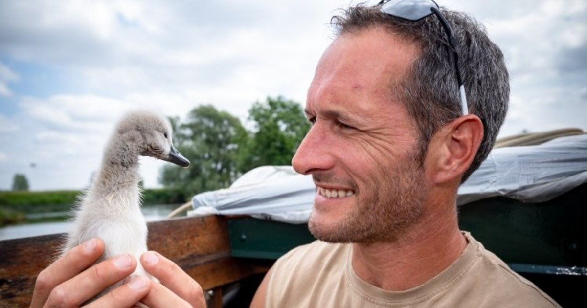 Une fois un homme a sauvé un petit caneton, et un beau cygne a grandi, qui maintenant ne veut pas s’envoler loin de lui