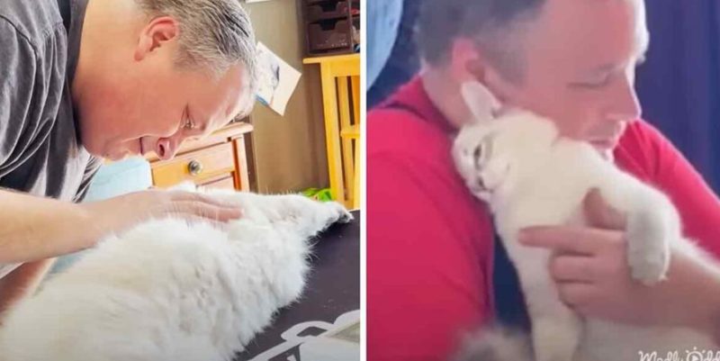 Un homme demande à la femme d’adopter un chat stressé