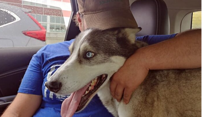 Après avoir retrouvé son père, le chien disparu est rempli de bonheur