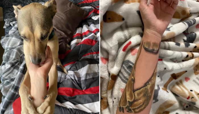 En mémoire de son chien, une femme se fait tatouer