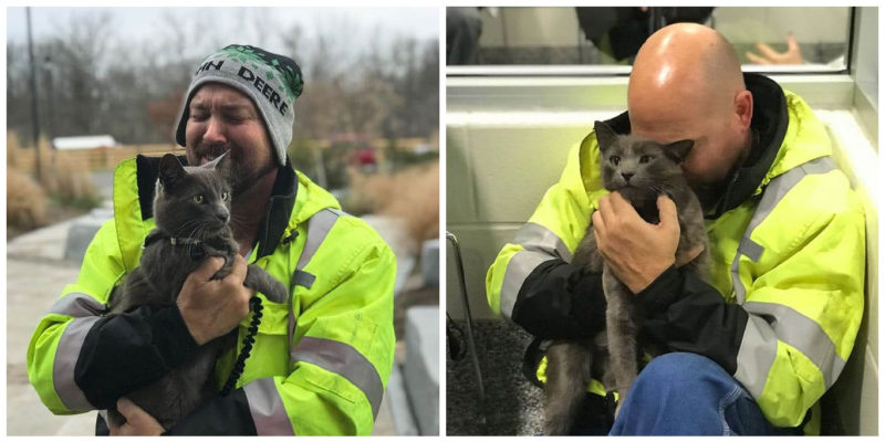 Le camionneur robuste ne put s’empêcher de pleurer lorsqu’il retrouva le chat compagnon qu’il avait perdu