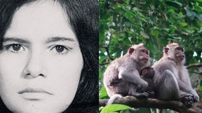 L’histoire de Marina, élevée par des singes pendant cinq ans