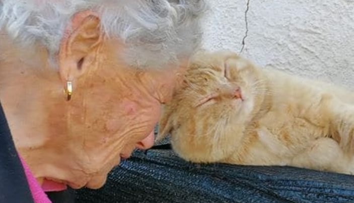 Une vieille femme retrouve son chat disparu depuis quatre ans