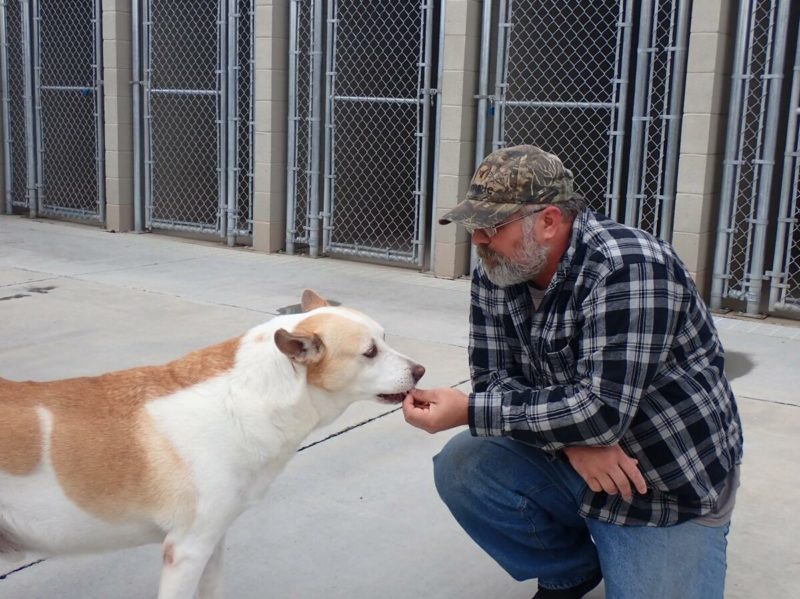 Le chien du refuge s’est mis à pleurer lorsqu’il a reconnu l’homme qui se tenait devant lui