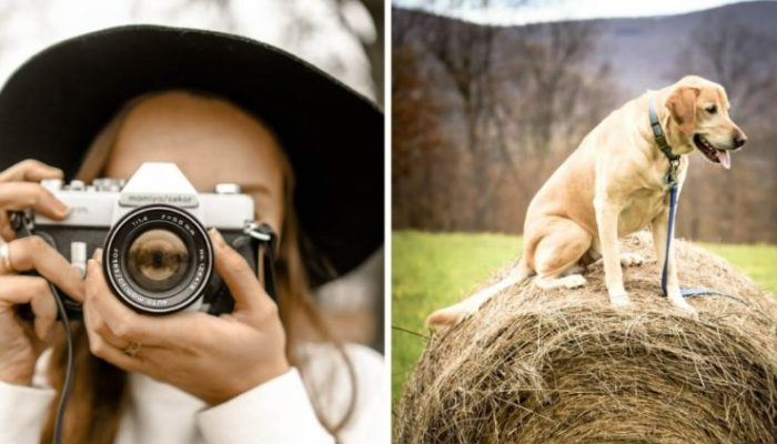 Le portrait de chien sur Internet du photographe a été largement partagé pour sa valeur comique