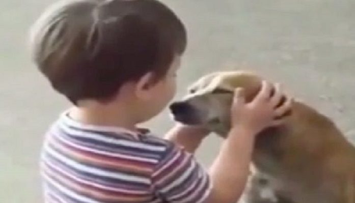 La réaction d’un enfant lorsqu’un petit chien des rues s’approche de lui pour lui demander de l’aide