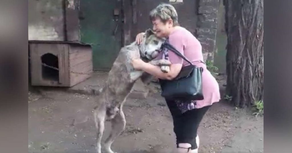 Quelques années après la perte du chien, elle retrouve sa maîtresse