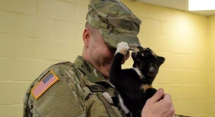 Un homme qui n’a jamais aimé les chats est allé dans un refuge pour adopter un chien, mais a fini par choisir un chaton