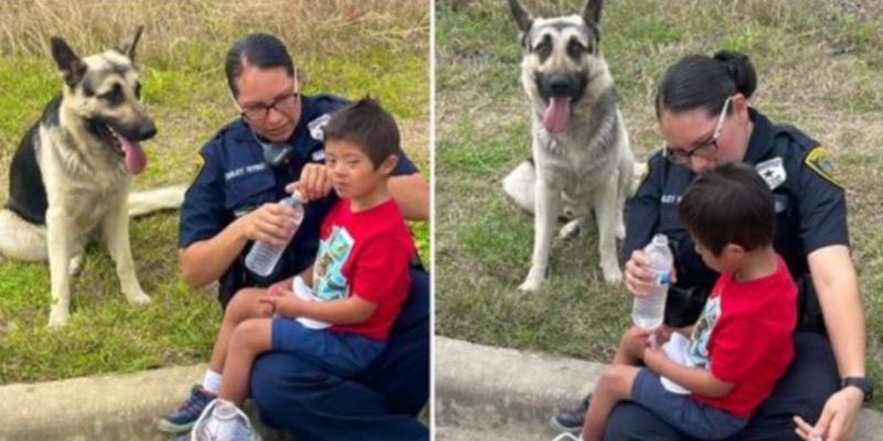 Un petit garçon trisomique a été sauvé par un chien fidèle