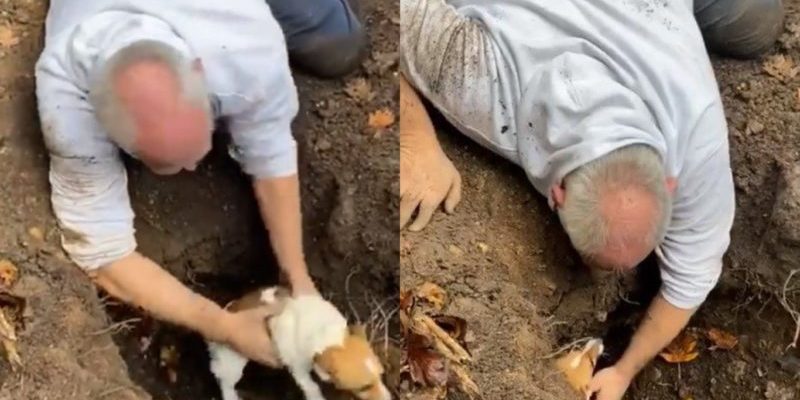 L’homme s’est mis à pleurer quand il a sorti son chien perdu du terrier