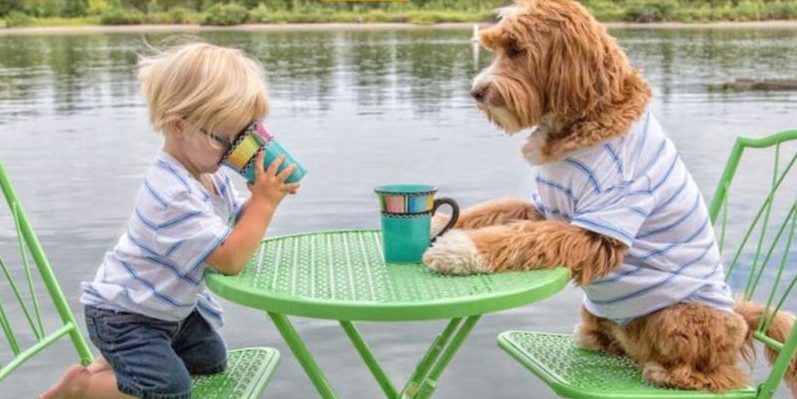 Un garçon de 3 ans noue un lien adorable avec le chien de sa famille adoptive